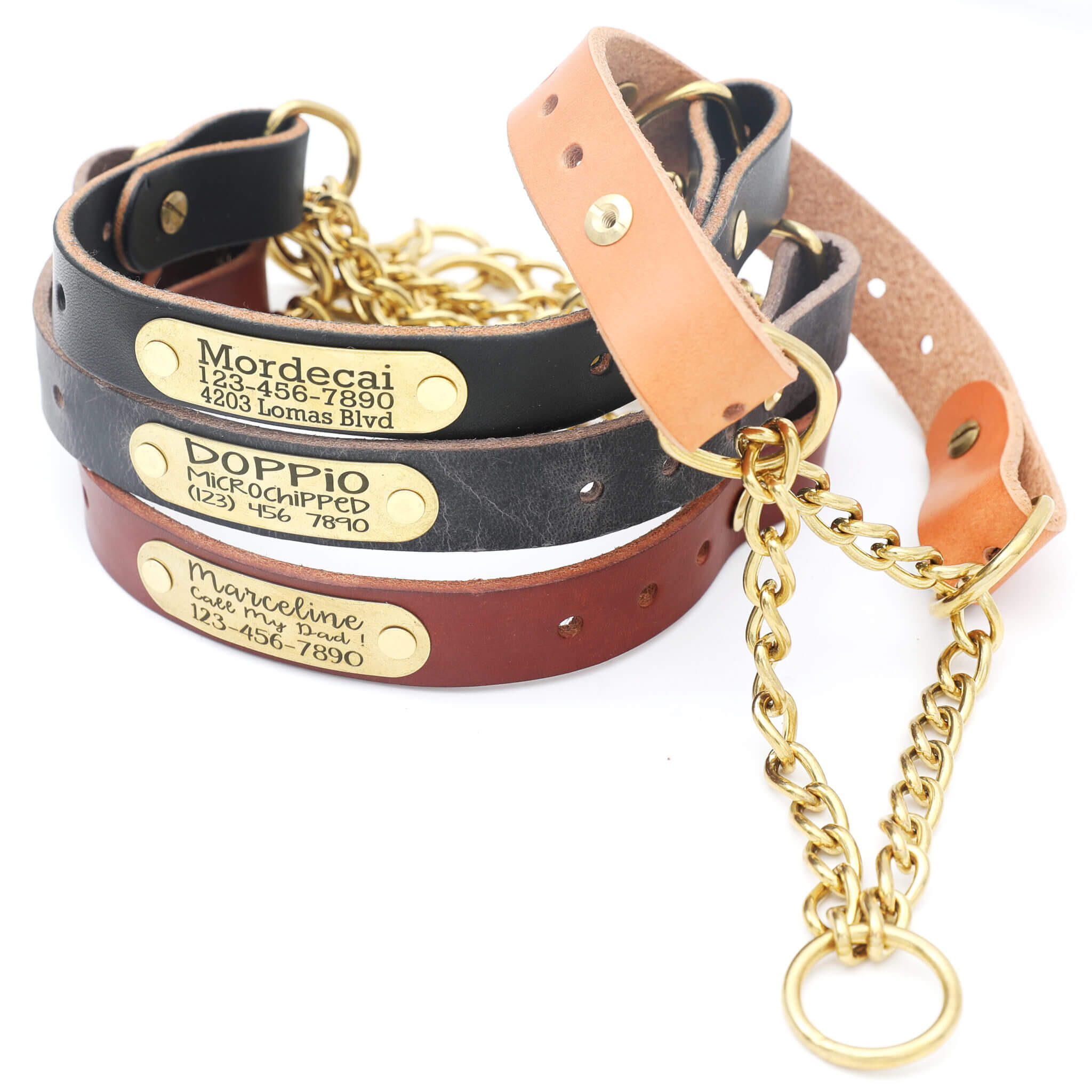 Leather Martingale Dog Collar with Brass Riveted Nameplate Questions & Answers