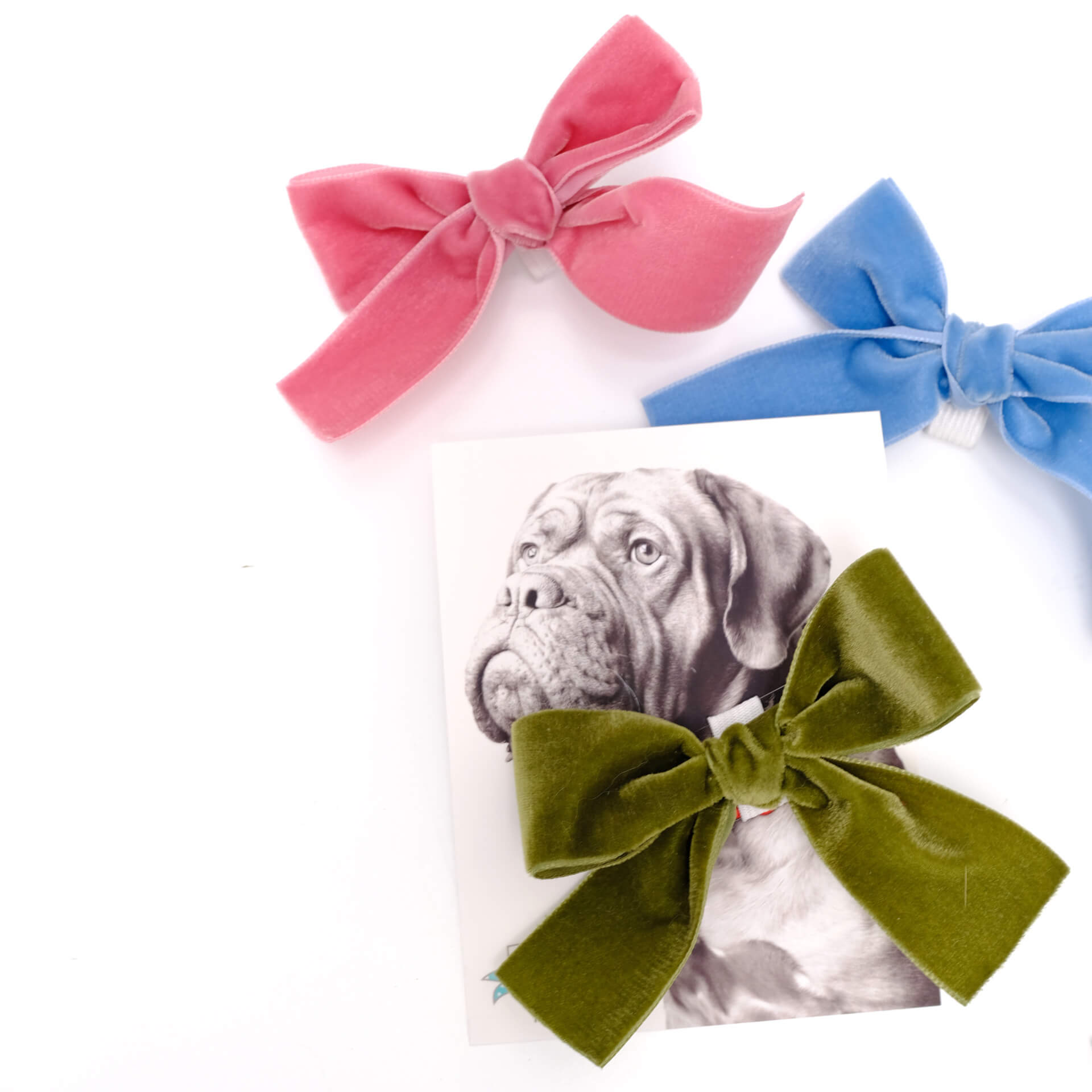 What are good occassions are the for the bow accessory good for?