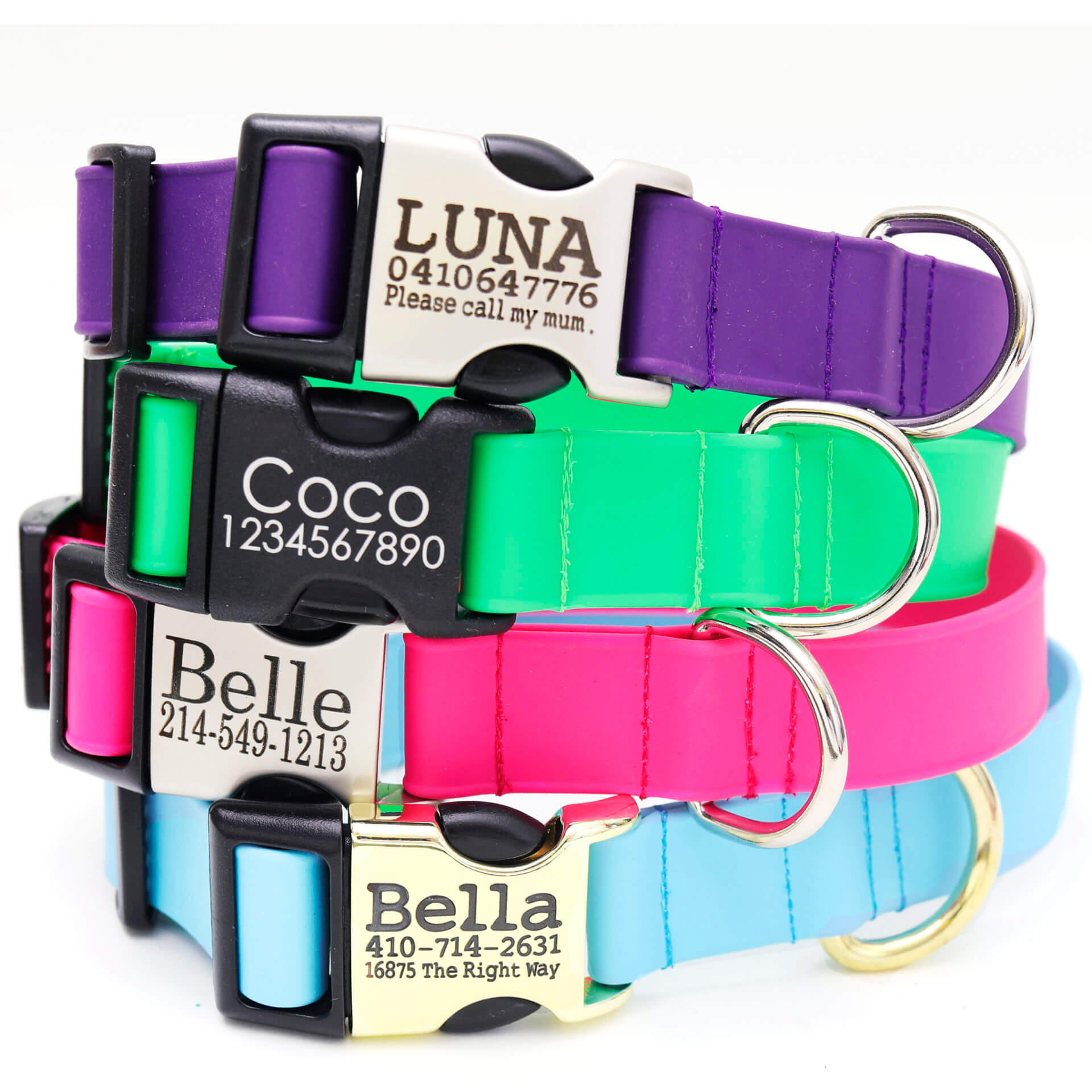 Lightweight Biothane Waterproof Dog Collar with Engraved Buckle - The Day Trip Collection Questions & Answers