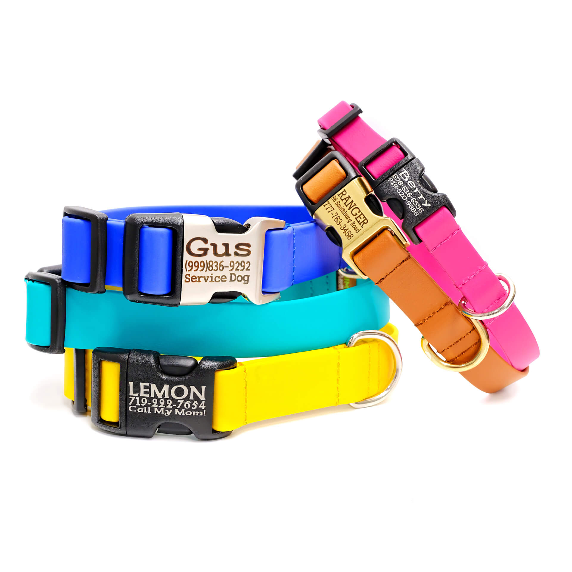 Waterproof Dog Collar - Sewn Biothane with Engraved Buckle Questions & Answers